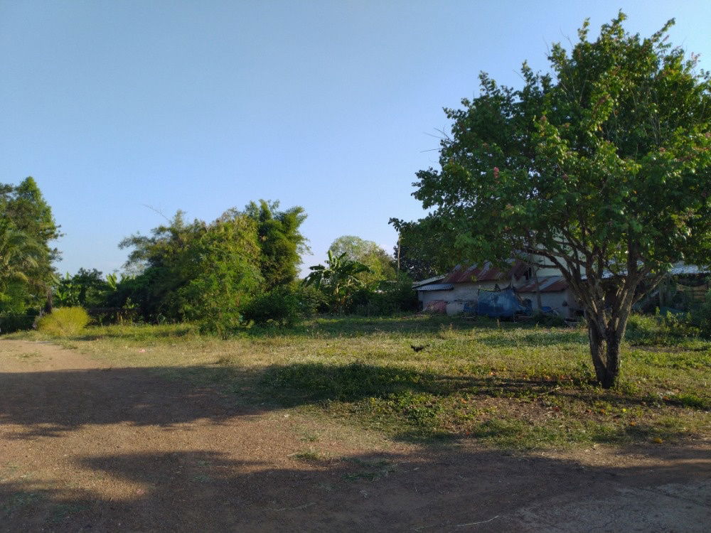 รูป 🏡 ขายที่ดินโฉนดครุฑแดง 191.3 ตร.วา ติดถนนใหญ่ ใกล้โลตัส วังน้ำเย็น - รูปที่ 3/7