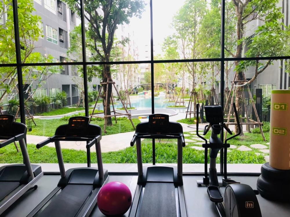 รูป 🏢 ประกาศให้เช่าคอนโด | MA-C6710   โครงการ Elio Del Moss Phaholyothin 34 (เอลลิโอ เดล มอสส์ พหลโยธิน 34)  - รูปที่ 37/40