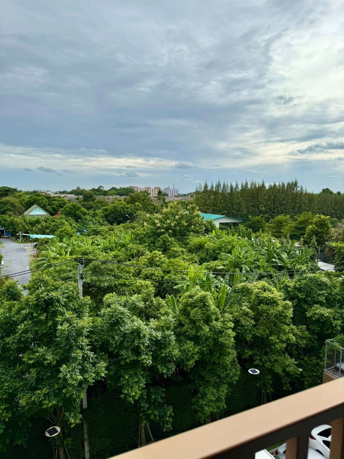 รูป เช่า รหัส PR246 คอนโด D CONDO Panaa - รูปที่ 12/12