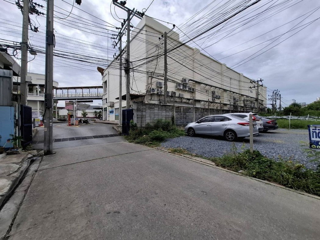 รูป ขายที่ดิน ด้านหลังบิ๊กซี เพชรเกษม 67 แยก 11 พื้นที่ 118 ตรว เหมาะสร้างบ้าน ทำหอพัก - รูปที่ 3/8