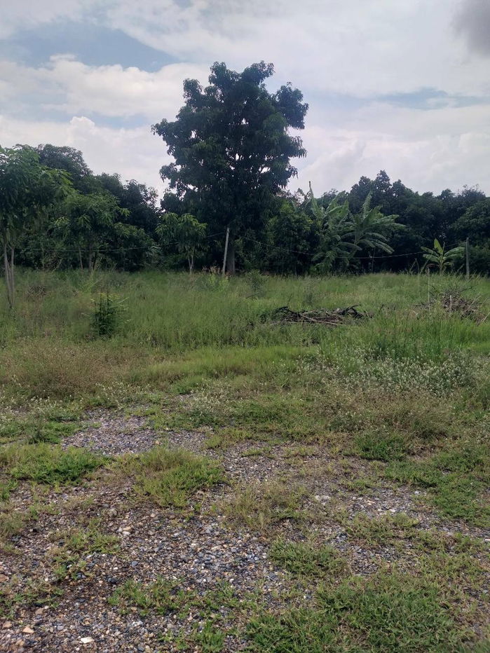 picture # 🌟 Beautiful land, prime location, more than 2 rai (905 sq m). Bang Bua Thong, near Wat Lam Pho, Nonthaburi 🌟 - 9/31