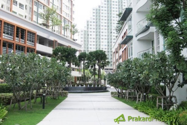 รูป ตามหาผู้มองหาที่อยู่อาศัยคอนโดโครงการไอวี่ ริเวอร์ ราษฏร์บูรณะ (Ivy River Rat burana) - รูปที่ 5/7