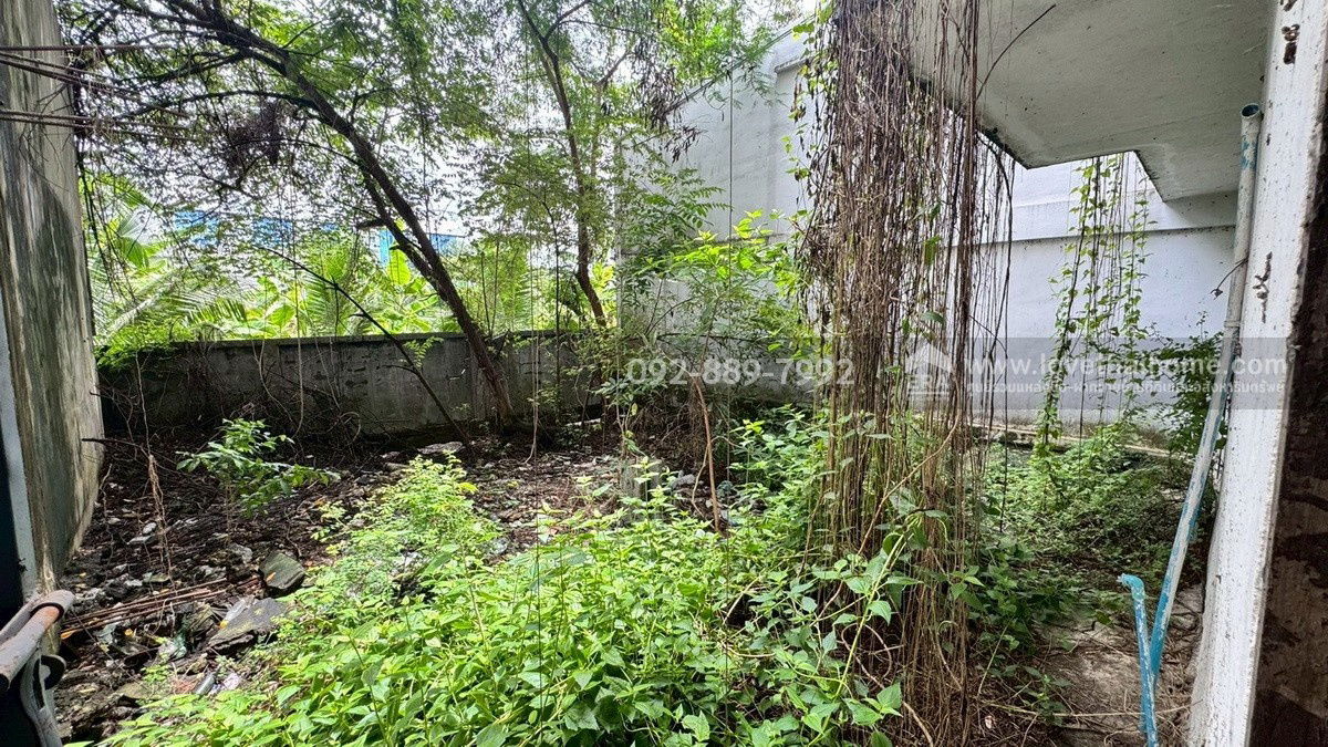 รูป ขายตึกแถว 3.5 ชั้น 2 คูหา โครงการเพชรชายทะเล ถนนเทียนทะเล พื้นที่รวม 43.2 ตรว. ราคาถูกที่สุดในนั้นแล้ว ใกล้ตลาดอินดี้ บางขุนเทียน - รูปที่ 7/10