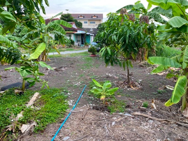 picture Onnut Airport link Lat Krabang 2 km. For Rent Fill Land 9,999 B-M Coffee Shop 100 Sq.wa 400 Sqm. Soi - 8/8