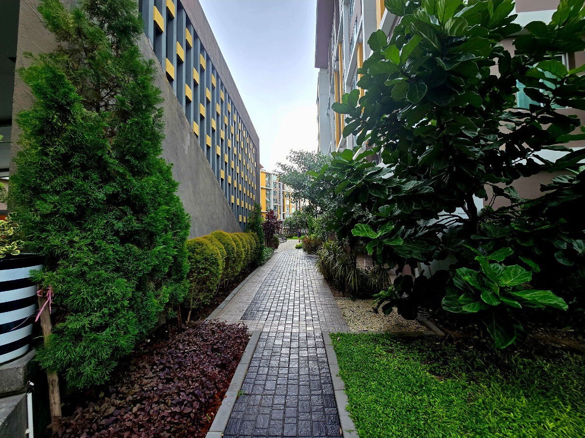 picture For Rent D CONDO Campus Resort Bangsean - 7/15