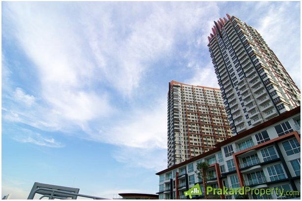 รูป ตามหาผู้มองหาที่อยู่อาศัยคอนโดโครงการไอวี่ ริเวอร์ ราษฏร์บูรณะ (Ivy River Rat burana) - รูปที่ 6/7