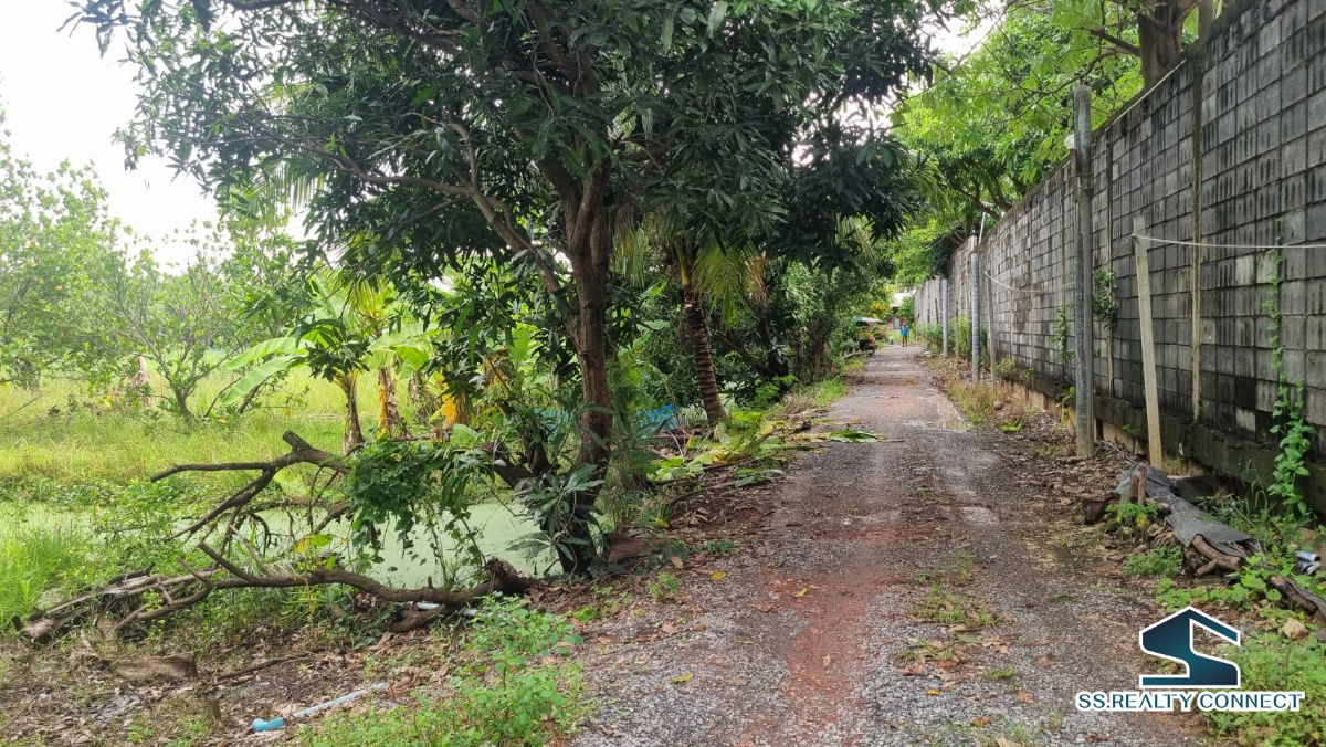 รูป ขายที่ดิน หนองเพรางาย นนทบุรี 500 ตร.ว. - รูปที่ 4/6