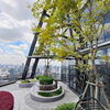 listing thumbnail image 13