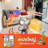 listing thumbnail image 1