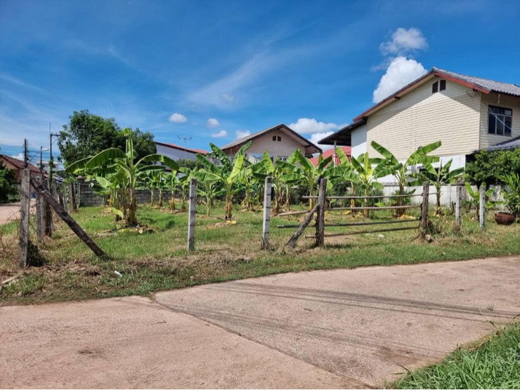 picture   Land for Rent in Udon City close to UD Town Just 5 Minutes  🥳  - 3/4
