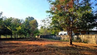 ที่ดิน ราชบุรี : ขายที่ดินเปล่า หนองอ้อ บ้านโป่ง ราชบุรี  2-3-23 ไร่ ใกล้ถนนเพชรเกษม เพียง 1 กม.