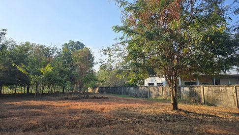 ขายที่ดินเปล่า หนองอ้อ บ้านโป่ง ราชบุรี  2-3-23 ไร่ ใกล้ถนนเพชรเกษม เพียง 1 กม.