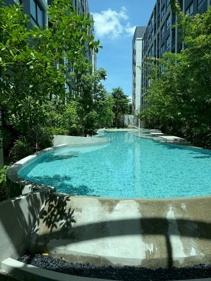 picture Condo for rent: MONTE Rangsit Campus 🔥 Corner unit, 26 sq m. Move-in ready for only 12,000 baht/month. 3rd floor, Building A - 9/9