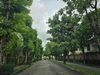 listing thumbnail image 21