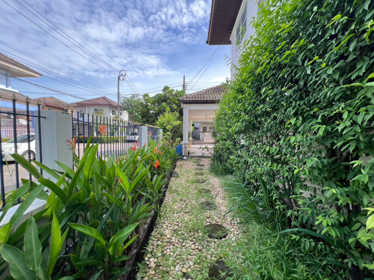 รูป บ้านเดี่ยวสายไหม หลังมุม ร่มรื่น น่าอยู่ บ้านแมกไม้ ซอยเพิ่มสิน 38 - รูปที่ 11/20