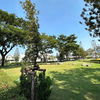 listing thumbnail image 24
