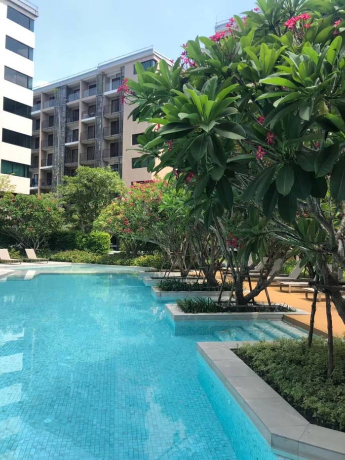 picture ✨Condo for Rent : Blossom Sathorn - Charoenrat ( AP-02) ( line : @condo91 ) - 13/14