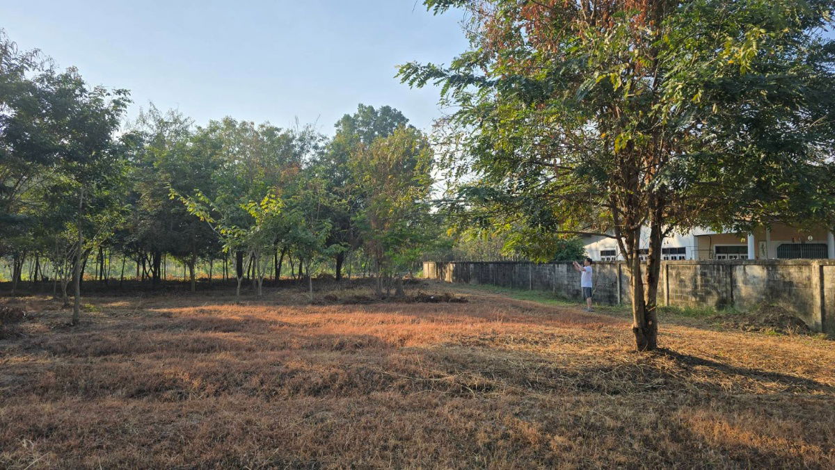 รูป ขายที่ดินเปล่า หนองอ้อ บ้านโป่ง ราชบุรี  2-3-23 ไร่ ใกล้ถนนเพชรเกษม เพียง 1 กม. - รูปที่ 4/9
