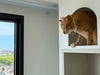 listing thumbnail image 7