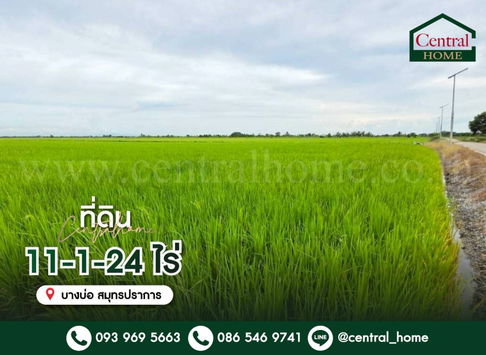 ที่ดินเปล่า 11-1-24 ไร่ คลองนิยมยาตรา บางบ่อ สมุทรปราการ