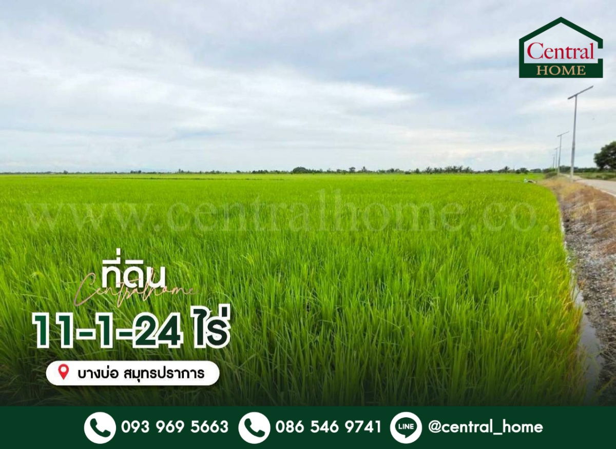 รูป ที่ดินเปล่า 11-1-24 ไร่ คลองนิยมยาตรา บางบ่อ สมุทรปราการ - รูปที่ 1/13