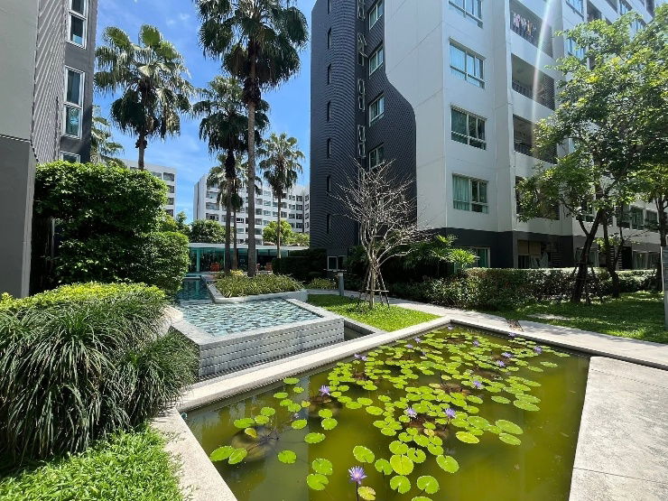 picture Condo for Sale: Elio Del Ray Sukhumvit 64 - 13/16