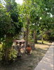 listing thumbnail image 8