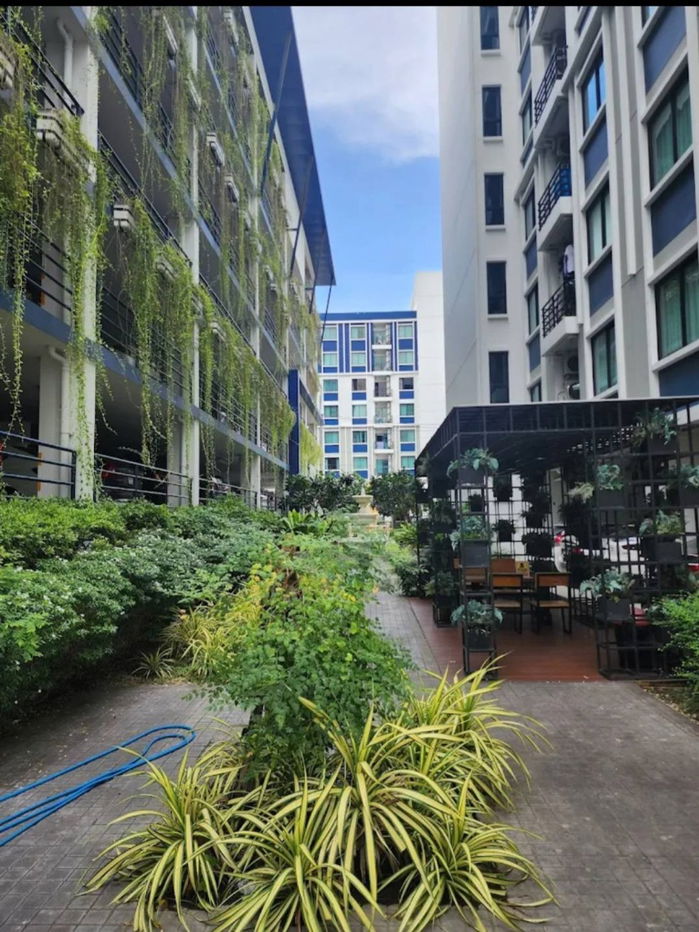 รูป ให้เช่าวี คอนโด ศาลายา (V Condo Salaya) ห้องหัวมุม วิวสนามกอล์ฟ ⛳ ใกล้ม.มหิดล และเซ็นทรัล ศาลายา 🏙️ - รูปที่ 5/11
