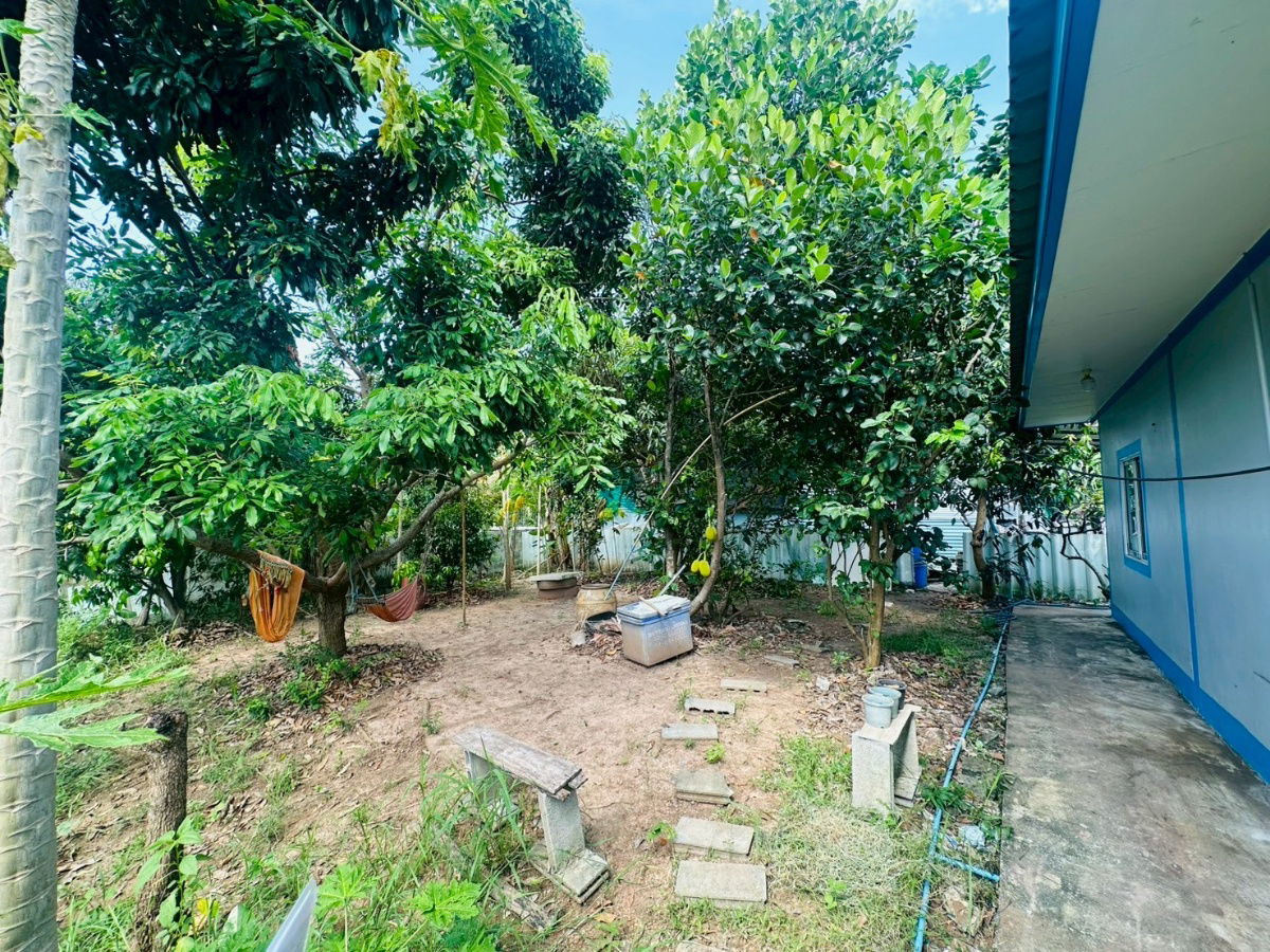 รูป บ้านพึ่งสร้าง  ขาย"ขาดทุน "ใจกลางเมืองปักธงชัย 150 ตร.ว 2.5 ล้านบาท - รูปที่ 4/27