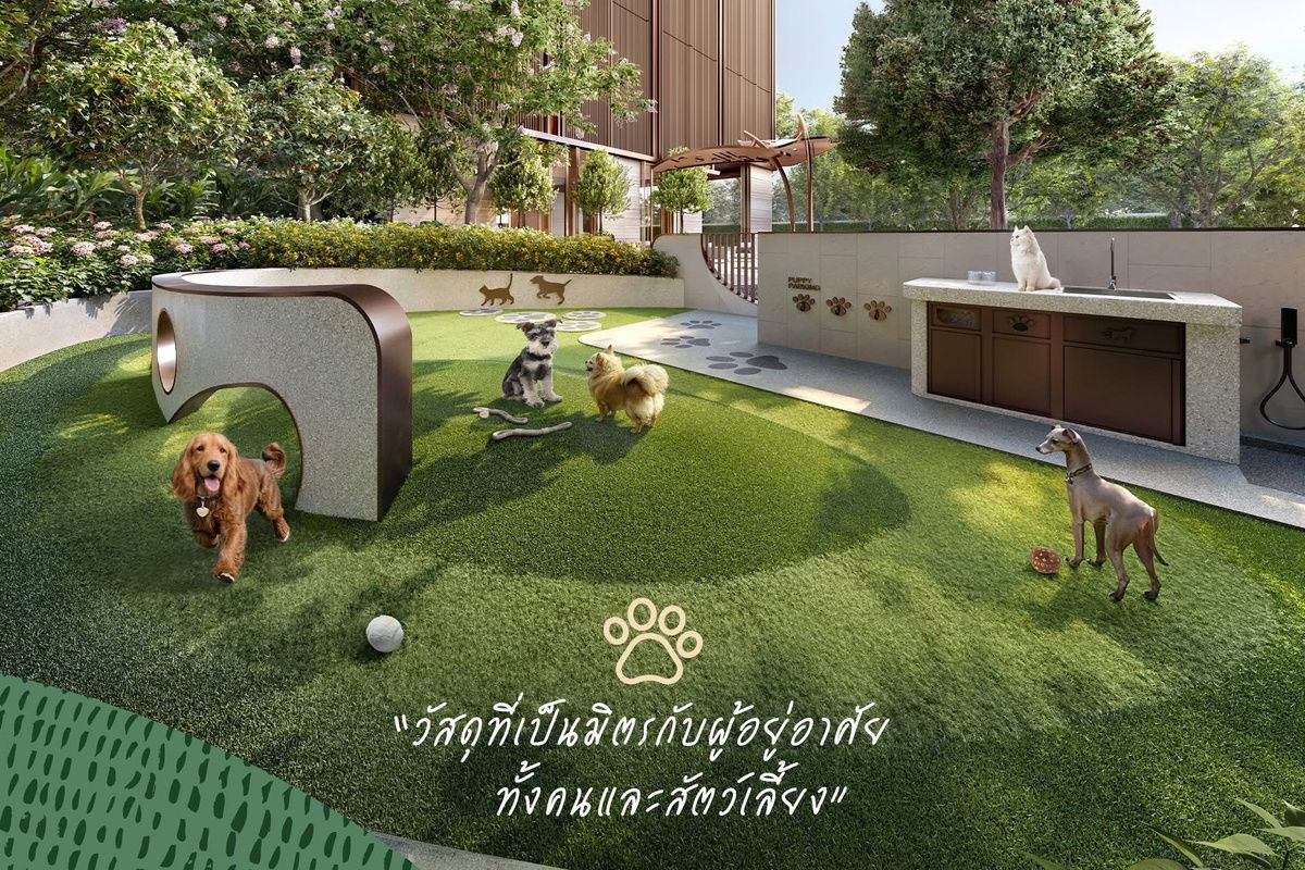 picture  𝐖𝐈𝐃𝐄𝐍 𝐛𝐲 𝐒𝐚𝐧𝐬𝐢𝐫𝐢 🤍🐶Sansiri's first time on Rama 3, a pet-friendly condo🤍🐱 📞061-6161426/065-4496399💚LINE: @wsrcondo  - 3/4