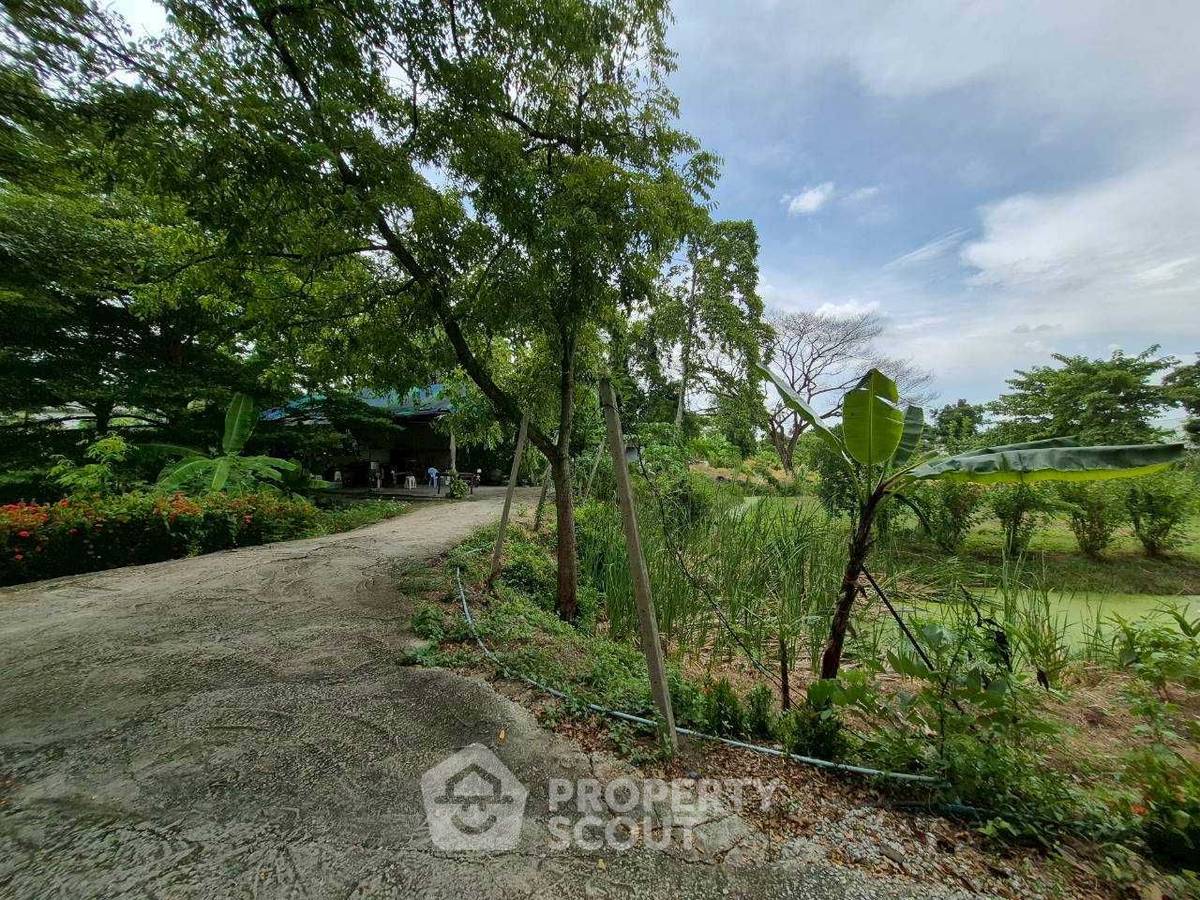 รูป ที่ดินสำหรับปล่อยขาย 5,340 ตารางเมตร แถว ใน คลองข่อย (ID 2304067) - รูปที่ 11/23