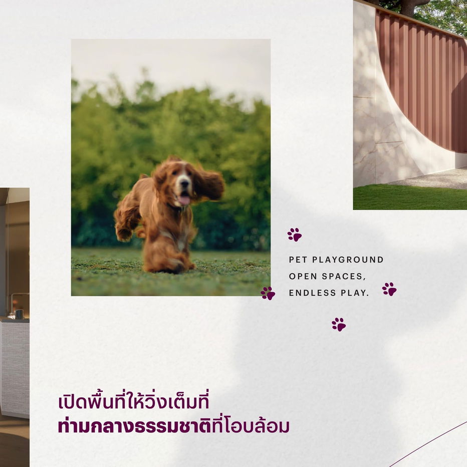 picture  𝐖𝐈𝐃𝐄𝐍 𝐛𝐲 𝐒𝐚𝐧𝐬𝐢𝐫𝐢 🤍🐶Sansiri's first time on Rama 3, a pet-friendly condo🤍🐱 📞061-6161426/065-4496399💚LINE: @wsrcondo  - 9/10