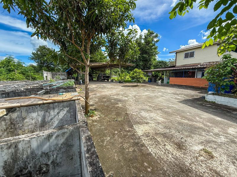 picture Beautiful plot of vacant land for sale with buildings in Suan Suea, Sriracha, Chonburi - 4/20