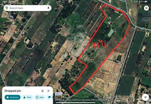 รูป ขายที่ดินทำเลดี ที่ดินสวนไผ่ซางหม่นอายุ 5 ปี พร้อมที่พัก เจ้าของขายเอง สุพรรณบุรี  - รูปที่ 9/10