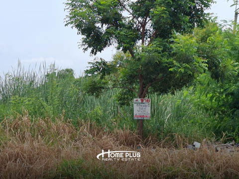 รูป ที่ดินหน้าหมู่บ้านการ์เด้นลากูน่า Lake Garden Home ตำบลคลองหลวงแพ่ง ฉะเชิงเทรา (แปลงมุม) - รูปที่ 8/10