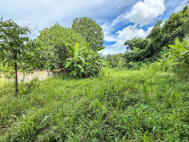 picture Beautiful plot of vacant land for sale with buildings in Suan Suea, Sriracha, Chonburi - 20/20