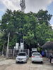 listing thumbnail image 4