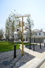 listing thumbnail image 17