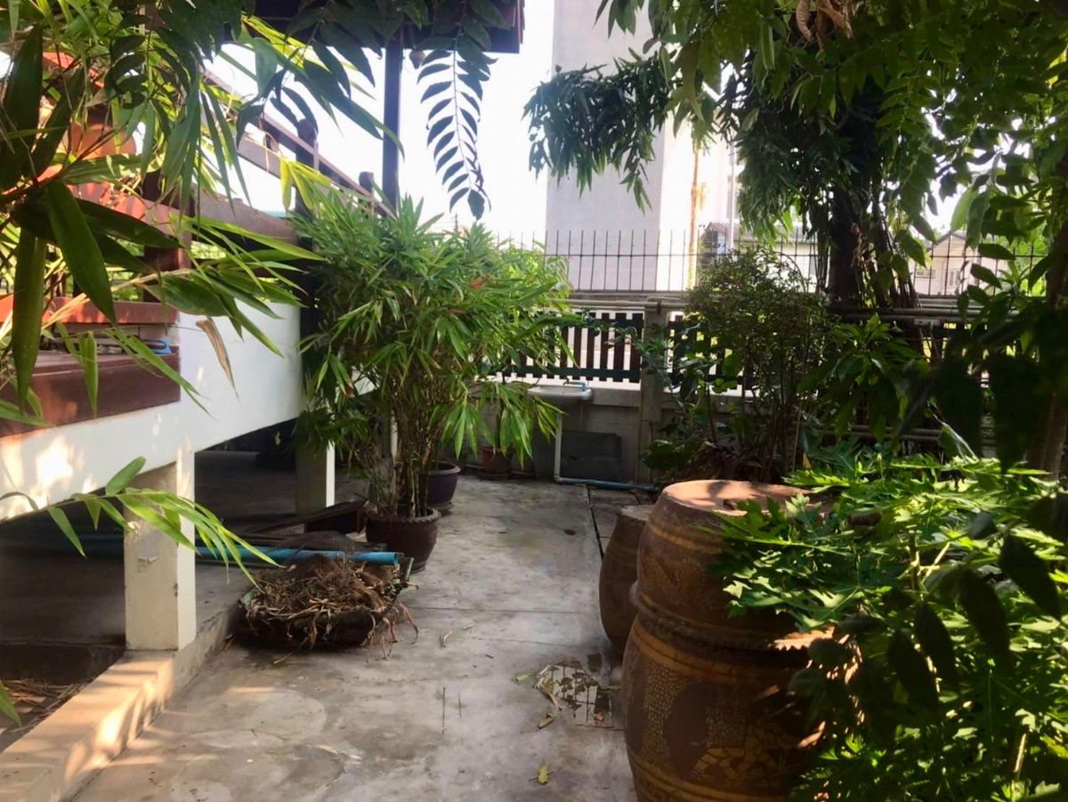 picture For Sale: 2-Storey Single House with Guest House – Seri Rama 9, Soi 58 Yaek 8 Perfect for a big family or those seeking comfort, privacy - 16/18
