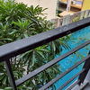 listing thumbnail image 10