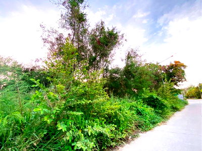 Land for sale : Land for sale near the sea, Hat Pla, Rayong, beautiful plot, great location