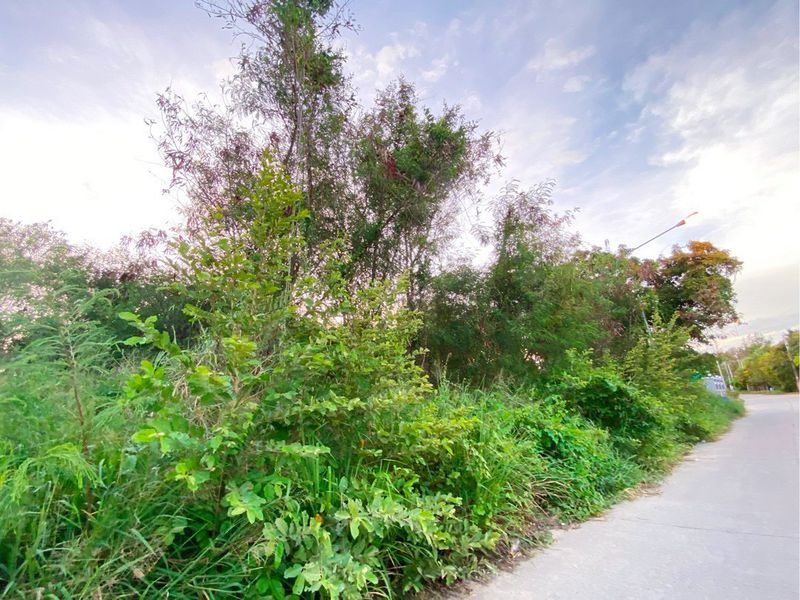 picture Land for sale near the sea, Hat Pla, Rayong, beautiful plot, great location - 1/8