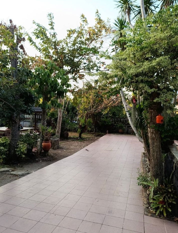 picture Single house for rent near the sea, nice atmosphere, Sriracha, Chonburi. - 3/9