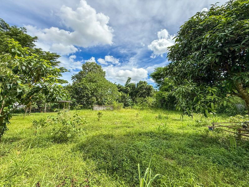 picture Beautiful plot of vacant land for sale with buildings in Suan Suea, Sriracha, Chonburi - 16/20