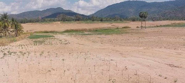 picture Industrial Land for Sale – Ideal for Warehouse or Factory Development, Khao Khansong, Si Racha, Chonburi - 7/9