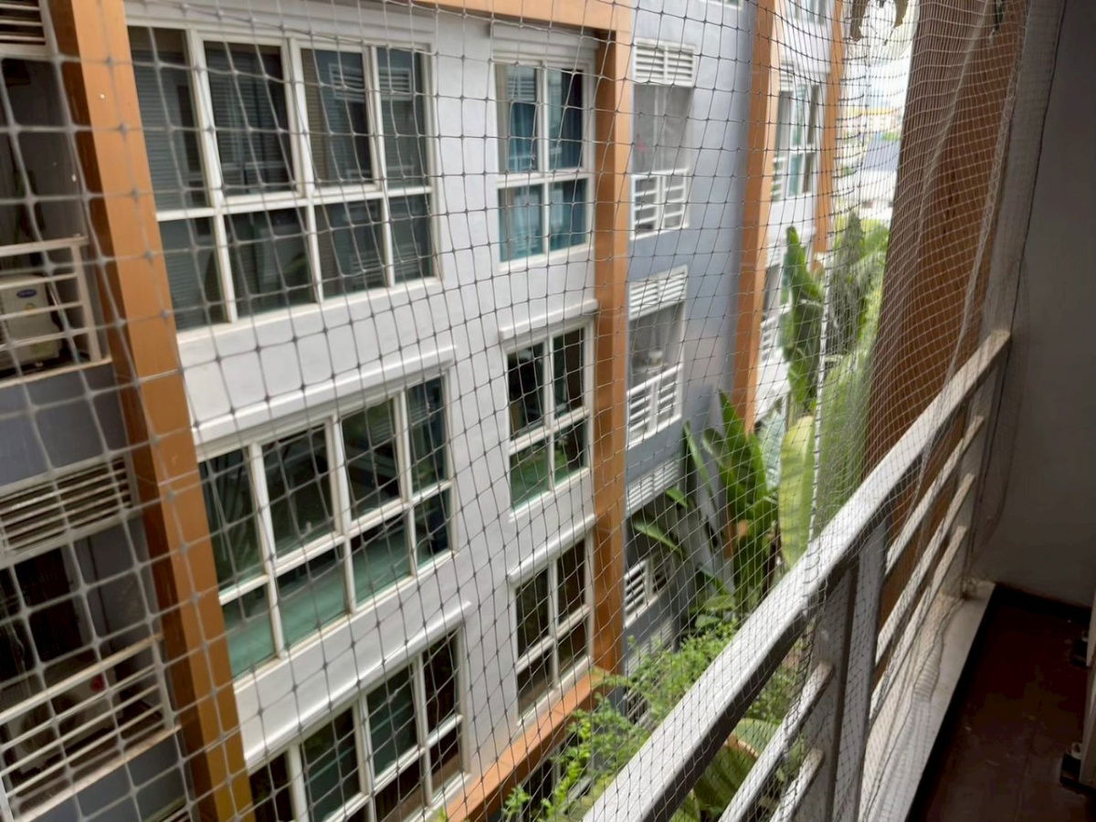 picture 🏙 For Rent  Le Cosi Ekkamai 28 | 1 Bedroom 50 sq.m. | 15,000 Bath📲 Line ID: 0842932624/Junesone520 - 13/16