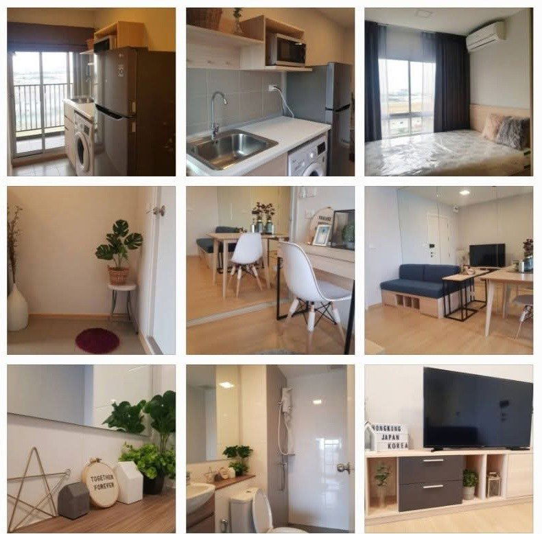 picture Plum Condo Rangsit Alive  Condo For Rent / Line : @mintocondo - 1/1
