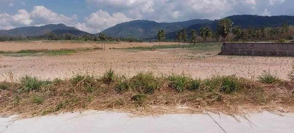 picture Industrial Land for Sale – Ideal for Warehouse or Factory Development, Khao Khansong, Si Racha, Chonburi - 9/9
