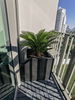 listing thumbnail image 16