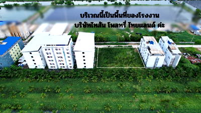 ที่ดิน นครนายก : ขายที่ดิน 336 ตารางวา ติดถนนคอนกรีต ติดบริษัท ไทสัน ซอยหอพักคนงาน